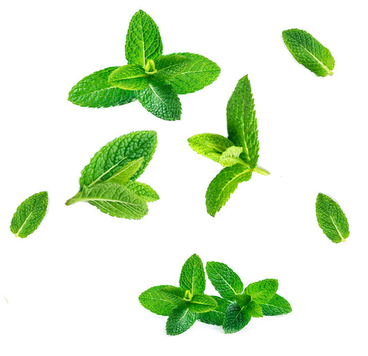 supermintbeadlets whats inside 1085x1050 eu