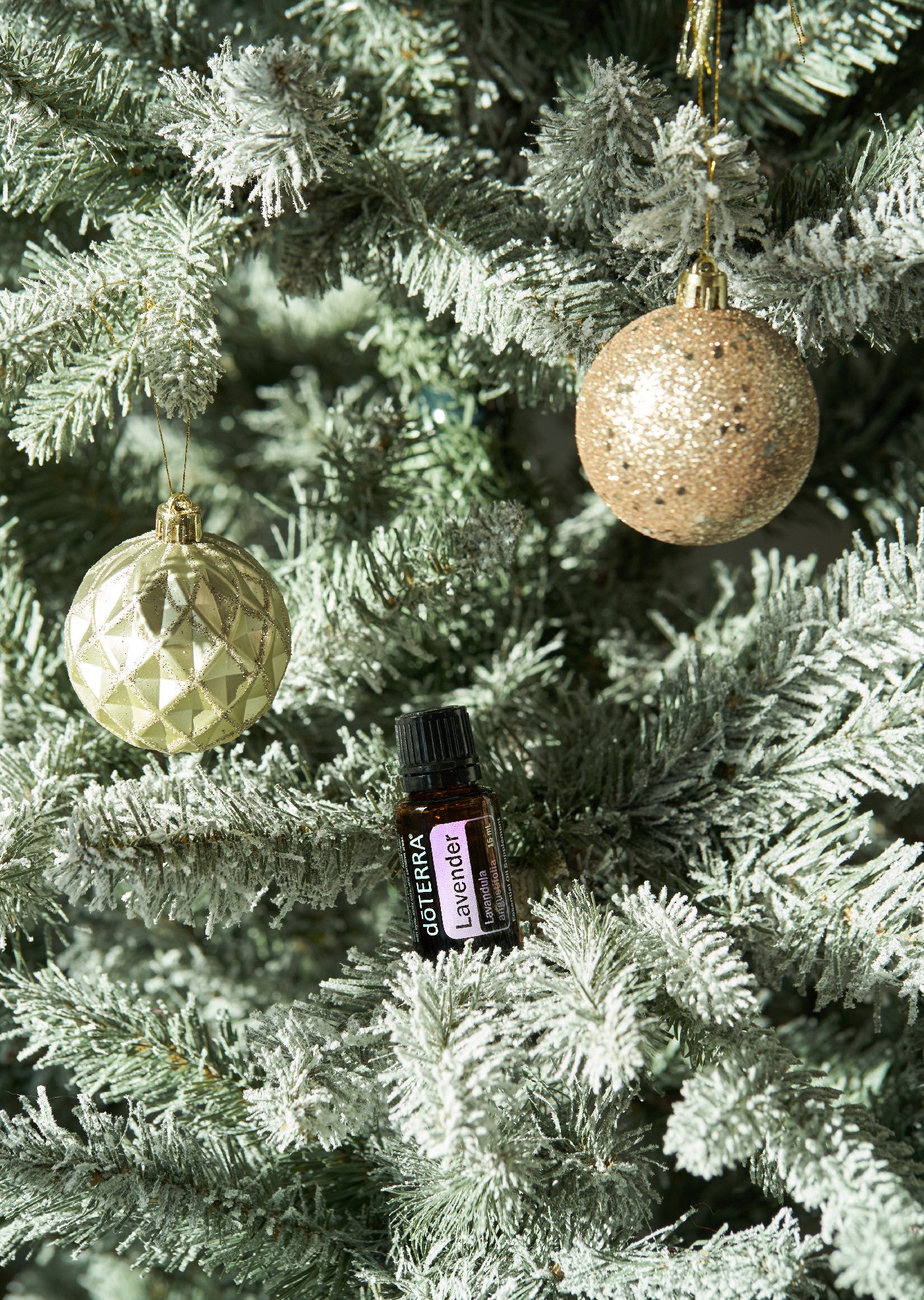 doTERRA levendula illóolaj 15mg - Lavender