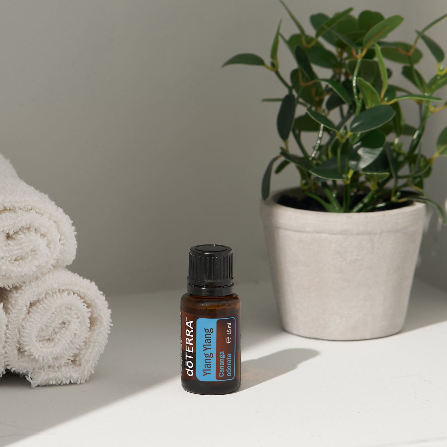 Doterra - Ylang ylang