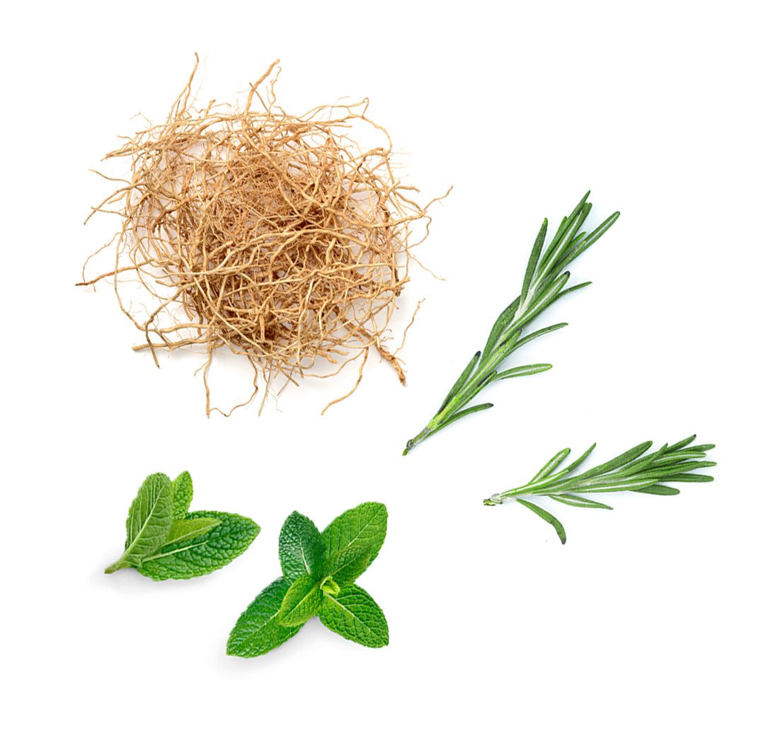 Doterra thinker összetevői