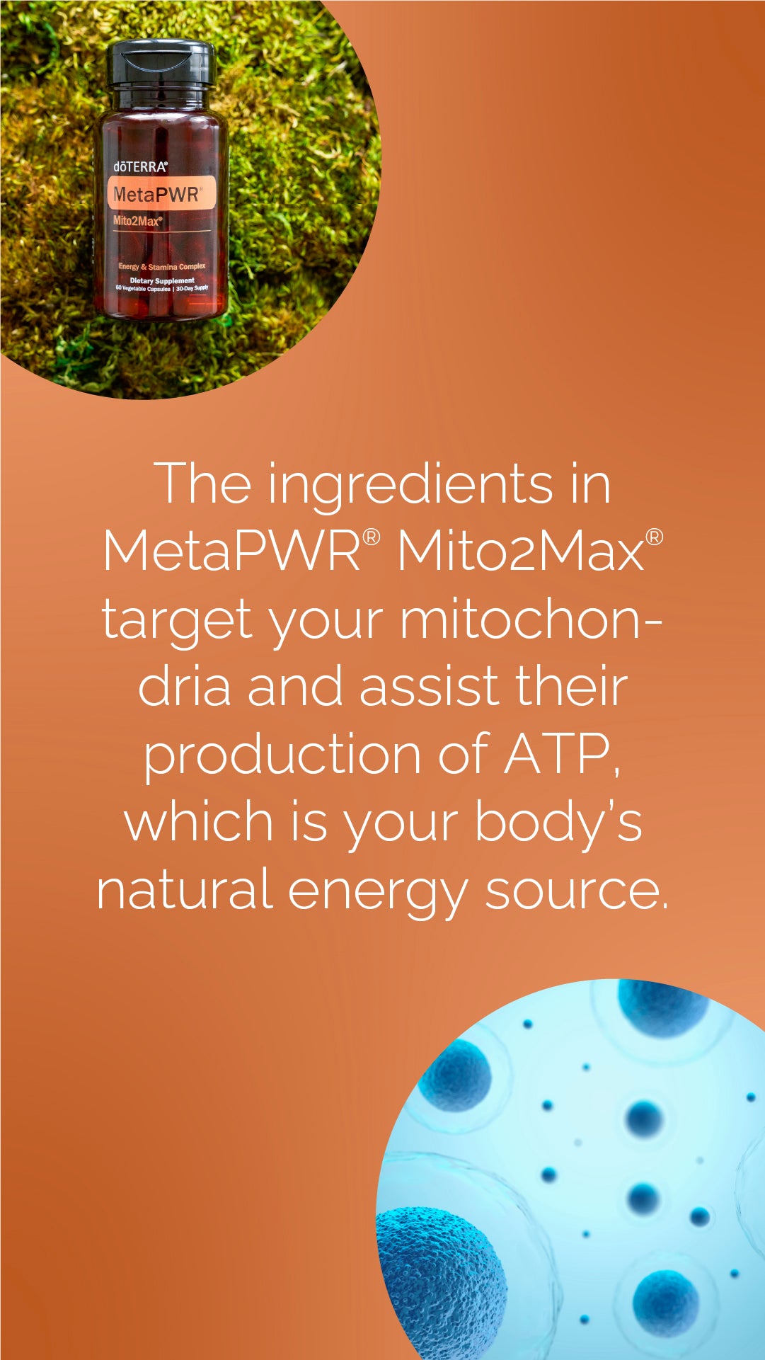 Doterra MetaPWR Mito2max zöldségkapszula